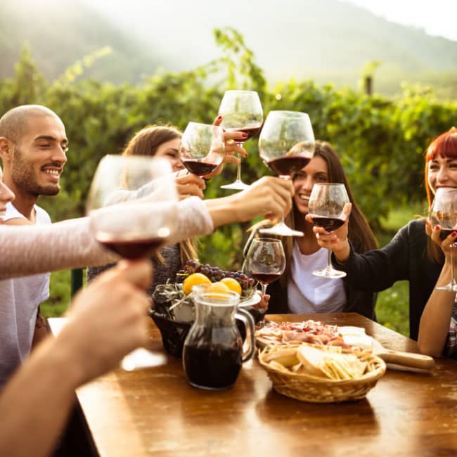 People sitting around table with vineyard and mountains